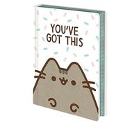Pusheen You've Got This NotebookOne Size Cream/Brown BS3088