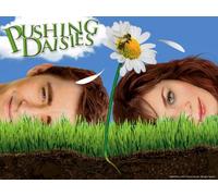Pushing Daisies Season 1