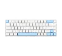 PUSOKEI 68 Keys Compact Layout, Mechanical Blue Switch, 10 RGB Backlit Modes, N Key Rollover Gaming Keyboard with USB C, Plug and Play, for FPS Gamers (White Blue)