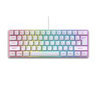 PUSOKEI Russian English Dual Language Keyboard, RGB LED Backlit Mechanical Gaming Keyboard with 61 Keys, Ergonomic Design for PC Laptop Computer (White)