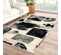 PUSRDEO Painted Pattern Low Pile Carpet Ikat Dense Texture Carpet For Reception, Waiting Area, Vestibule, Firm Support Comfort(White)-150x210cm