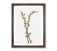 Pussy Willow Flowers By Mary Vaux Walcott Vintage Framed Wall Art Print, Ready to Hang Picture for Living Room Bedroom Home Office Décor, Walnut A3 (34 x 46 cm)