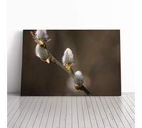 Pussy Willow Tree Canvas Print | Gallery Wrapped 30mm Frame Wall Art | 30x20 inches | Ready to Hang | Modern Landscape Picture | Living Room Bedroom Lounge Office