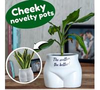 Put Some Plants On - The Wetter, The Better