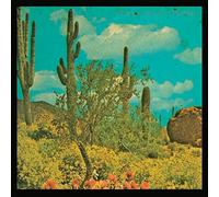 Puta Madre Brothers - It's a Long Long Way to..