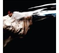 Putochinomaricon - Jaja Equisde (Distopea Aburrida) [VINYL]