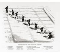 Putting swathes of sown grasses into windrows or drying hay in the wind. From The Book of the Farm by Scottish farmer and agriculturalist Henry Stephens 1795 - 1874 first published in the 1840's. This