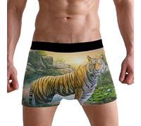 PUXUQU Mens Boxers Shorts Animal Tiger Boxer Briefs Underwear for Men Boy