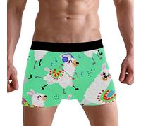 PUXUQU Mens Boxers Shorts Cute Cartoon Llama Lama Boxer Briefs Underwear for Men Boy