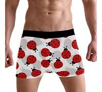 PUXUQU Mens Boxers Shorts Cute Ladybug Red Ladybird Pattern Boxer Briefs Underwear for Men Boy