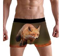 PUXUQU Mens Boxers Shorts Cute Red Fox Boxer Briefs Underwear for Men Boy