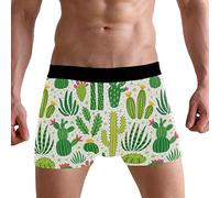 PUXUQU Mens Boxers Shorts Tropical Cactus Cacti Print Boxer Briefs Underwear for Men Boy