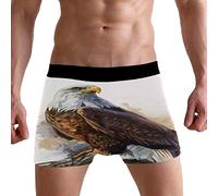 PUXUQU Mens Boxers Shorts Watercolor Bald Eagle Boxer Briefs Underwear for Men Boy