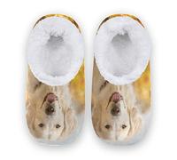 PUXUQU Women's House Slippers Cute Golden Retriever Dog House Shoe Bedroom Shoes Slipper Socks Slippers for Women Men Kids Indoor Use