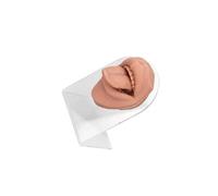 PUXZYAX Flexible Educational Model Of Human Tongue For Jewelry Display And Piercing Practice Enhancement Teaching Tool Piercing Practice Body Parts For
