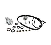 PUYEN Timing Belt Kit with Water Pump 14400-PMM-A02 14520-PLC-335 19200-PLM-A01 TS26312 ITM312 Compatible H//o//n//d//a C//i/v//i//c HX EX LX
