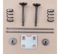 PUYEN Valve Push Rod Guide Plate Kit Fit H//o//n//d//a GX160 GX200 5.5HP 6. 168F 14791-ZE1-010 Engine Motor Water Pump Trimmer Brushcutter