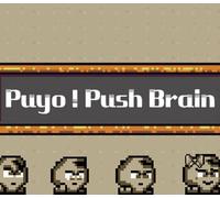 Puyo! Push Brain PC Steam CD Key