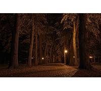 puzzels for adult jigsaw puzzle 200 pieces,Natural scenery,Czech Republic,Night,Alley 35x25CM