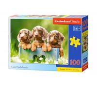 Puzzle 100 elementów. Słodkie jamniki - Castorland