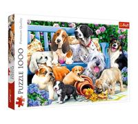 Dogs in the Garden