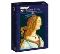 Sandro Botticelli - Idealized Portrait of a Lady, 1480