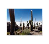 puzzle 1000，Isla Incahuasi in Salar de Uyuni, Bolivia，Jigsaw puzzle for for adults teens and challenge educational-Paper（50x70cm）-AS75