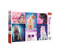 Puzzle Super koty 1000