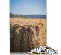 Puzzle 1000 Piece A Bale of Straw Jigsaw Puzzle for Adults And Wooden Jigsaw Puzzle Suitable for 18 Years And Up Fun Puzzles Games 1000pcs (75x50cm)