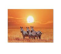 Puzzle 1000 Piece，Small group of zebras in the evening sun over the African savannah，Challenge Game for Adults，Impossible Jigsaw Puzzles 1000 Piece Educational Game Puzzle Gifts 1000 pcs（50x70cm）-T32