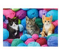 Puzzle 1000 pièces : Chatons dans le magasin de laine
