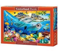 Puzzle 1000 pièces : Dauphins sous les tropiques