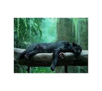 Puzzle 1000 Pieces For Adults，Black panther on the tree，1000 Pièces Puzzle, Puzzles Jigsaw Intellectual Toys, Puzzle Pour Adultes Kids Picture（38x26cm）-H37