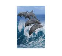 Puzzle 1000 Pieces，Four beautiful dolphins leap over breaking waves，Paper Jigsaw Puzzle for Adults Kids Puzzle Toys Cartoon Anime Home Decoration（38x26cm）-AR70