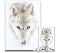 Puzzle 1000 Pieces Jigsaw Arctic Wolf Closeup Puzzles for Adults DIY Decoration Brain Challenge for Adult Family 1000 PCS(38x26cm)