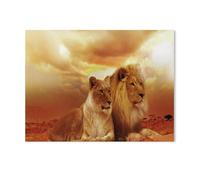 Puzzle 1000 Pieces Jigsaws，A Pair of Lions，Jigsaw Puzzles for Adults 1000 Piece Paper Puzzles Educational Intellectual Decompressing Games 1000pcs（38x26cm）-R84