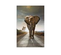 Puzzle 1000 pieces，Leopards, predators, animals in jungle & rainforest，1000 Piece Jigsaw Puzzle for Adults & for Kids Age 12 and（75x50cm）-AR86