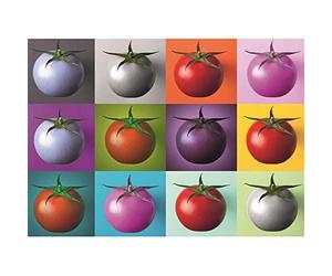 Puzzle 1000 pièces : Pop Art - Tomates