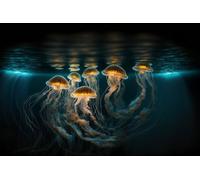 Puzzle 1000 Pieces Swarms of Beautiful Jellyfish in the Blue Ocean 50x70cm