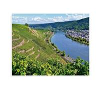 puzzle 1000，Steep-Slope Vineyards in Winningen on the Moselle，Jigsaw puzzle for for adults teens and challenge educational-Paper（38x26cm）-AX84