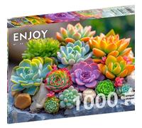 ENJOY Puzzle Colorful Succulents Stone Rock Leaves Nature Plants - 1000 Pieces Jigsaw Puzzle for Adults - Matte Finish, Soft Touch, Easy to Assemble, Tight Fit, Vivid Colors, Missing Pieces Service