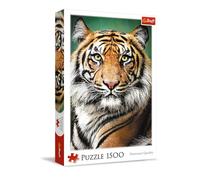 Puzzle 1500 Portrait of a Tiger