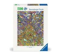 Ravensburger Shoal Underwater 1500 Piece Jigsaw Puzzle