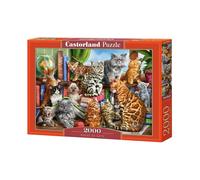 Castorland Jigsaw Puzzle House of Cats 2000-piece Top Quality