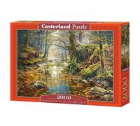 Reminiscence of the Autumn Forest