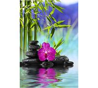 Puzzle 2000 Pieces, Paper Catcher Puzzle, Recreation Suitable for Adults Intelligence stress relief game70x100cm