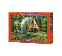 Dominic Davison - Toadstool Cottage