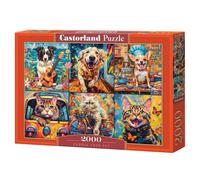 Puzzle 2000 Venetian Still Life Castorland Puzzle Top Quality