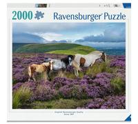 Puzzle 2000 Wild Horses In The Heather Ravensburger Puzzle Top