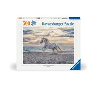 Horse on the Beach